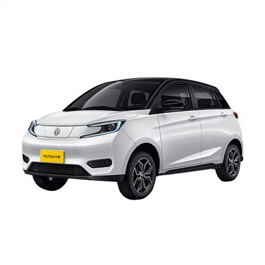 Young S400 Pure Electric Minicar SEV Facey verzija